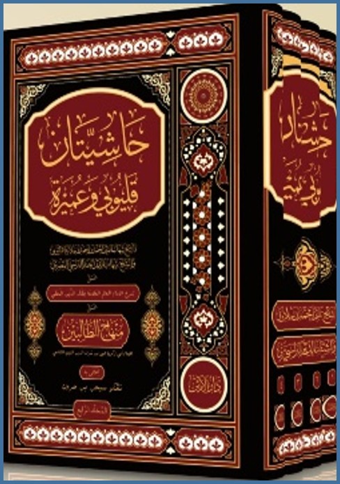 Mahalli 4 Jilid